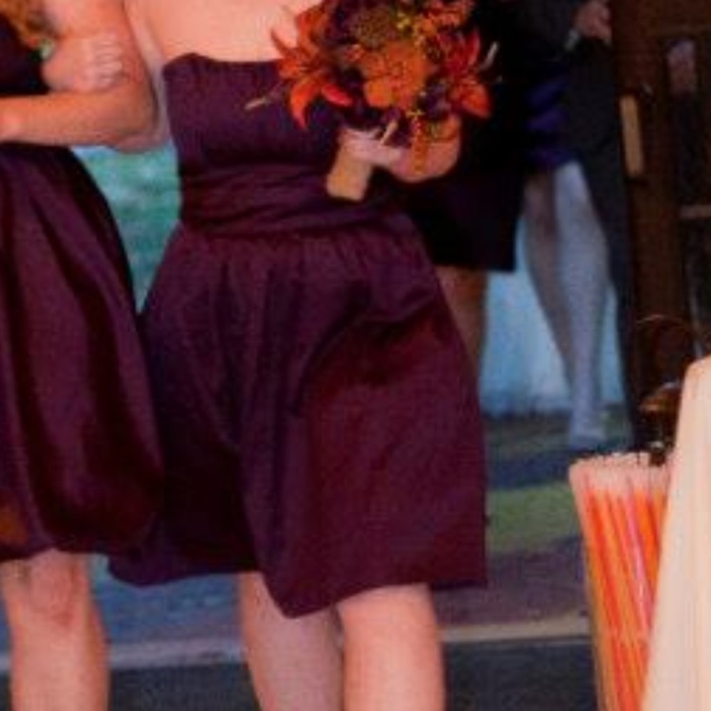 David’s bridal purple bridesmaid dress